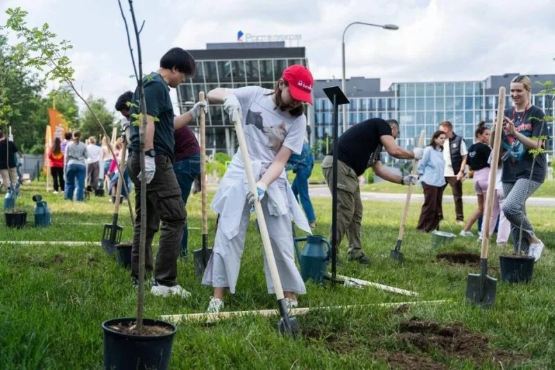 На территории крупного бизнес-центра Москвы арендаторы высадили несколько десятков деревьев