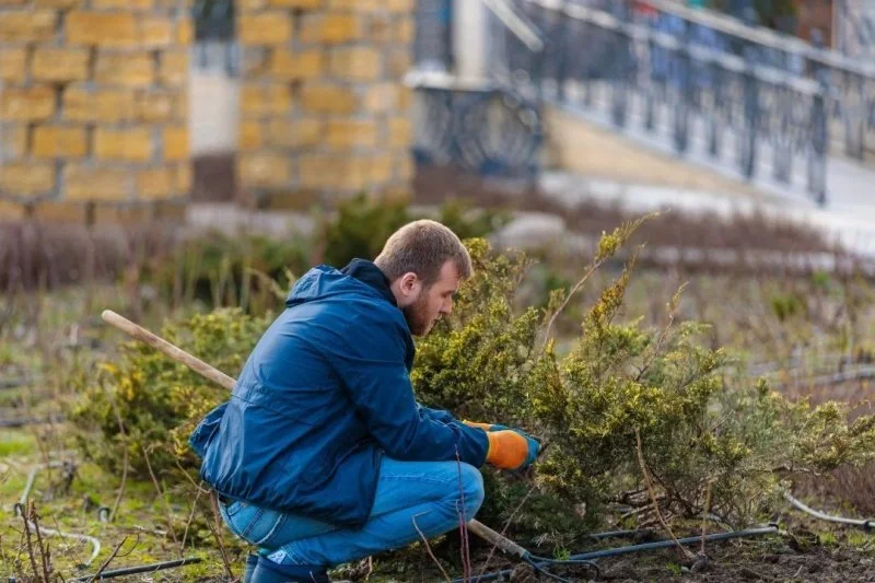 В сфере благоустройства выросли зарплаты
