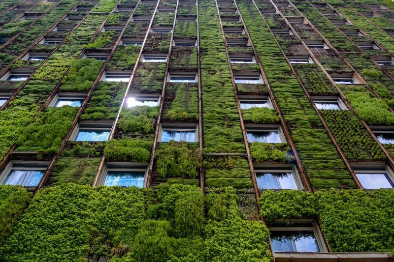 «Зеленая» рассада: весна началась с дискуссий о перспективах экологического строительства