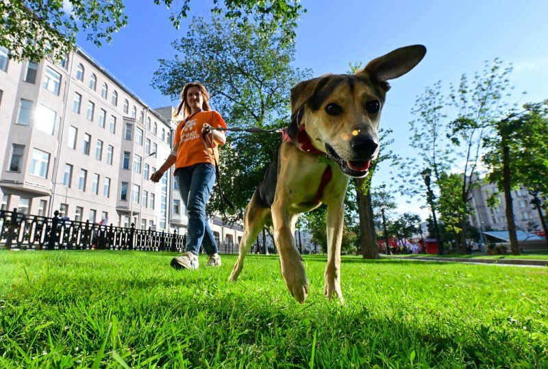 Комфортные условия для каждого: программы благоустройства изменили облик российской столицы в лучшую сторону и создали первую в стране человекоориентированную среду Комфортные условия для каждого: программы благоустройства изменили облик российской столицы в лучшую сторону и создали первую в стране человекоориентированную среду